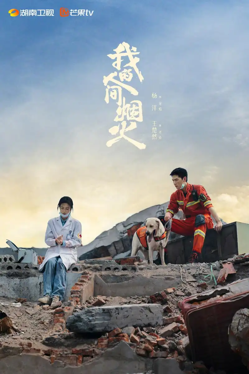 《坠落的审判》电影海报 - 桑德拉·惠勒主演的法庭剧情片，婚姻与真相的剖析
